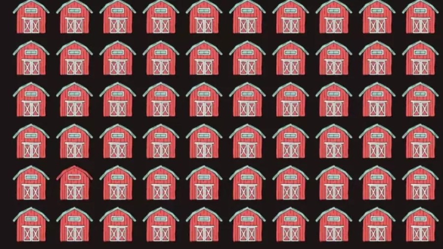 Optical Illusion for Eye Test: Can You Find the Different Barn?