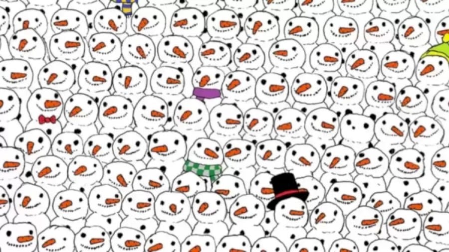 Optical Illusion for IQ Test: Can You Spot the Hidden Panda Among the Snowman?