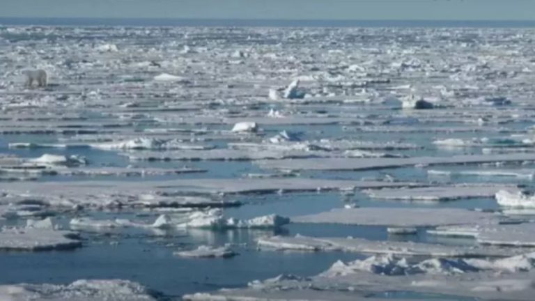 Optical illusion Find and Seek: Can you spot the Hidden Polar Bear in this Sea Ice within 15 Seconds?