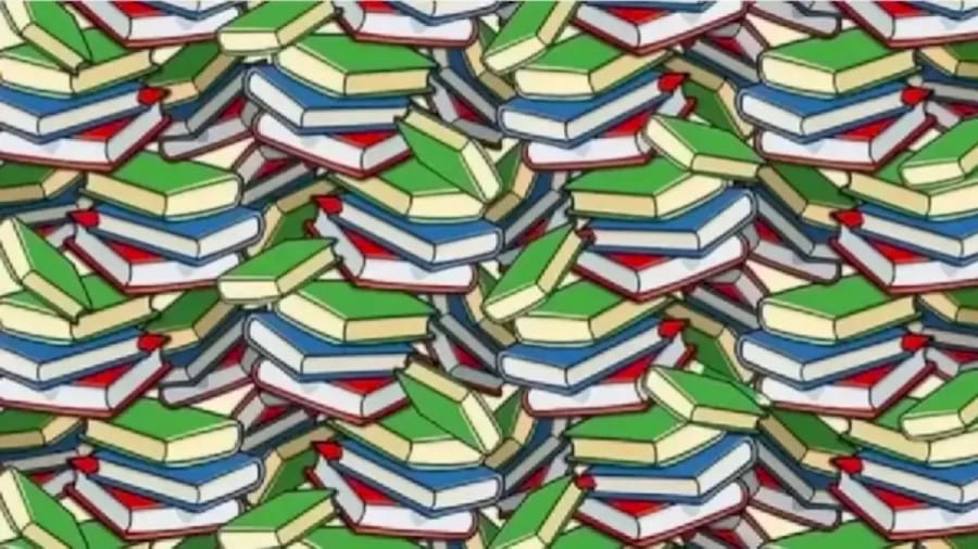 Picture Optical Illusion: Can you find a Pencil among the Books?