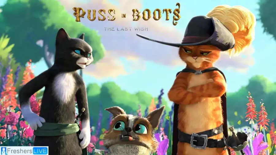Puss in Boots the Last Wish Ending Explained, Plot, Cast, Trailer and More