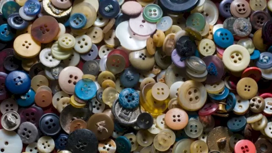 Spot the Coin Among these Buttons in this Optical Illusion Challenge