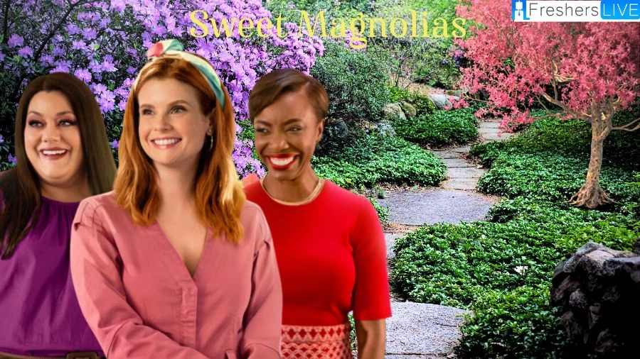 Sweet Magnolias Season 3 Episode 10 Recap and Ending Explained, Plot, Cast, Where to Watch?