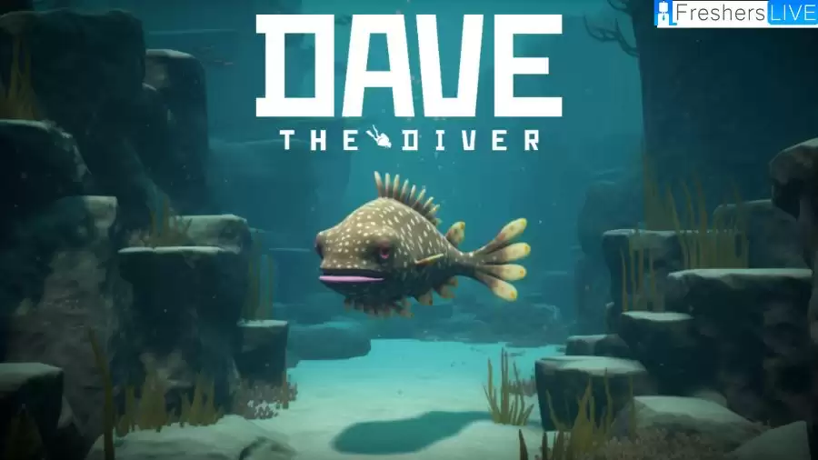 Where to Find Stargazer Fish in Dave the Diver? Stargazer Fish Location