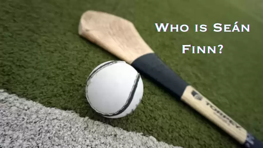 Who is Seán Finn? Seán Finn Bio, Playing Career, Statistics, Honours