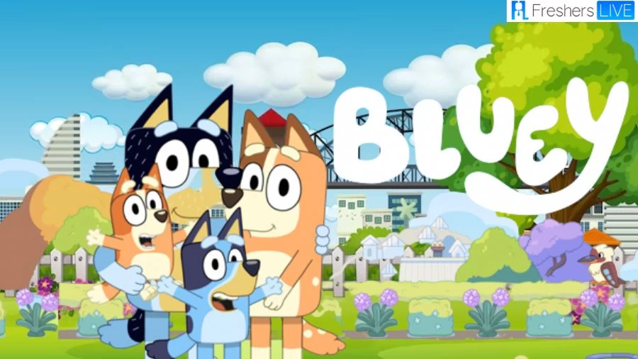 Why is Bluey Episodes Not on Disney Plus? What Time Do the New Bluey ...