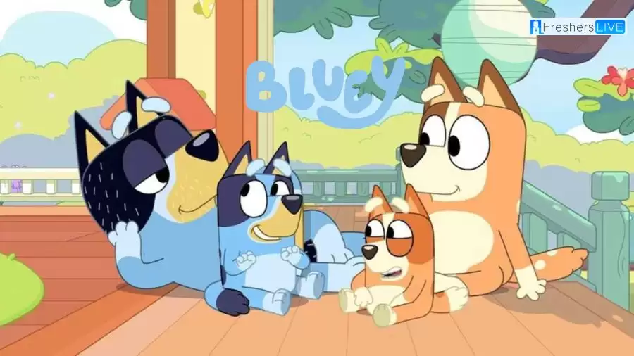 Why was the Dad Baby Episode of Bluey Banned?
