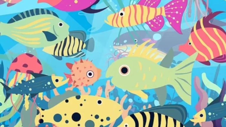 You are a Brilliant If You Find the Plastic Bag Among these Fishes in this Optical Illusion in Less than 12 Seconds