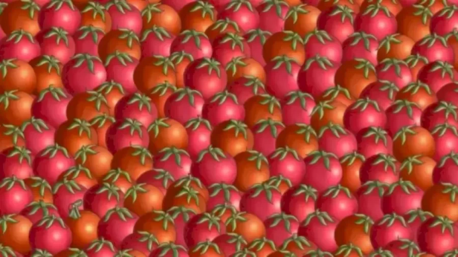 Can You Find The Hidden Christmas Ball Among These Tomatoes Within 12 Seconds? Explanation And Solution To The Hidden Christmas Ball Optical Illusion