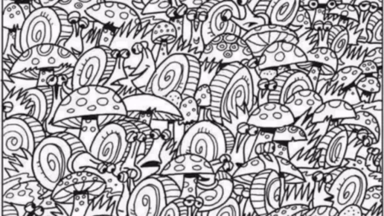 Optical Illusion Challenge: How Long It Took For You To Locate The Hidden Car Among These Snails?