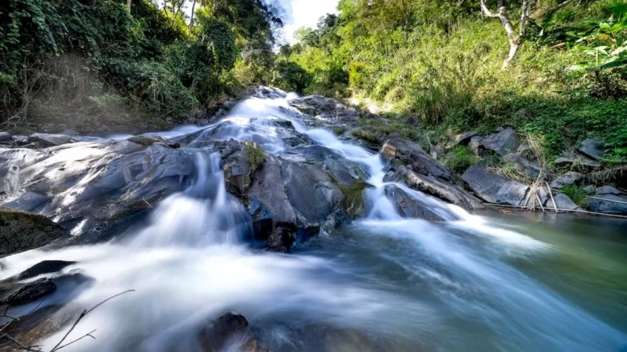 Optical Illusion Eye Test: You Have Eagle Eyes If You Detect The Langur In This Waterwalls In Less Than 20 Seconds