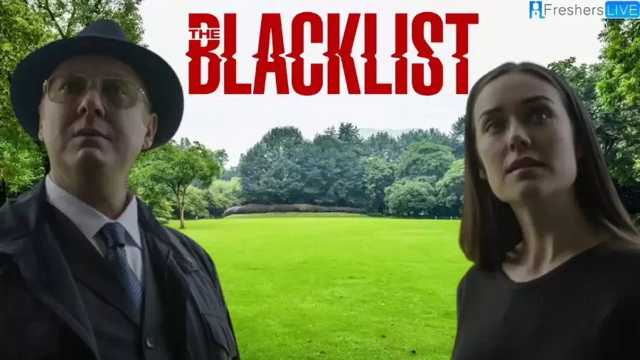 Blacklist Ending Explained, Plot, and Where to Watch