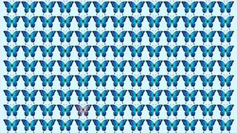 Brain Teaser – Can You Spot The Odd Butterfly In This Image In 30 Secs? Picture Puzzle