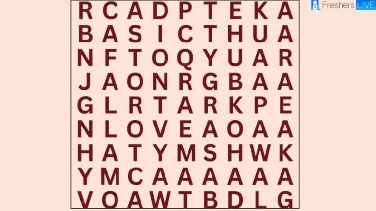 Brain Teaser Eye Test: Can you find 6 words in the image within 28 seconds? | Word Search Puzzle