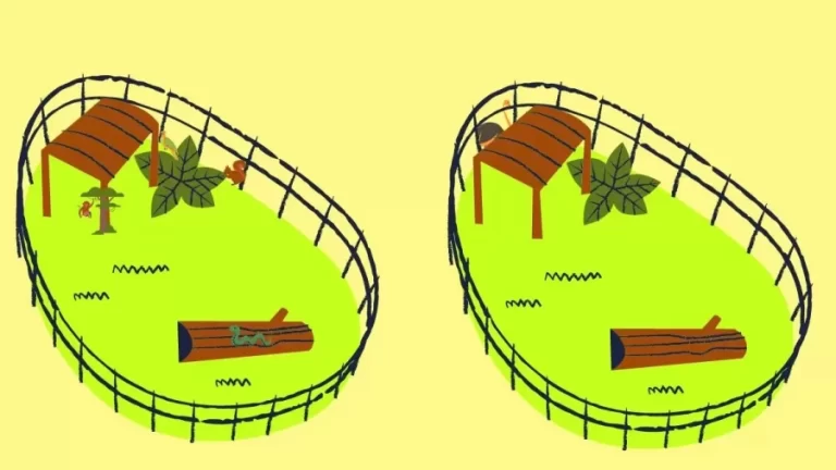 Brain Teaser Eye Test: How Fast Can You Spot All 5 Differences?