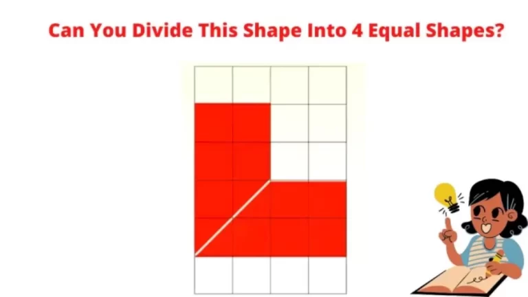 Brain Teaser Geometry Puzzle – Can You Divide This Shape Into 4 Equal Shapes?