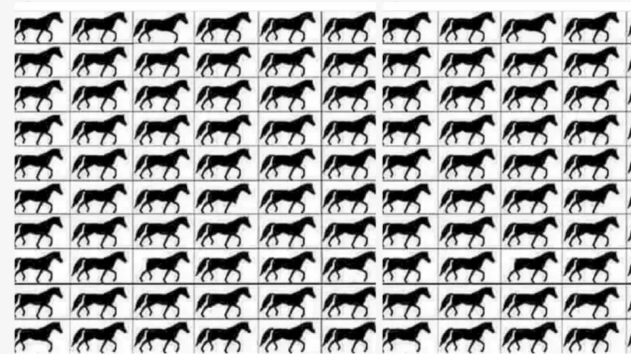 Brain Teaser Picture Puzzle: How Many Horses with 3 Legs?
