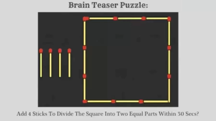Brain Teaser Puzzle: How To Add Add 4 Sticks To Divide The Square Into Two Equal Parts Within 25 Secs?