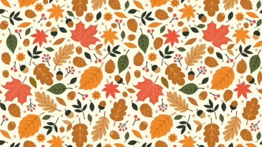 Brain Teaser Seek And Find Puzzle: Can You Find The Tiny Hedgehog Hiding In This Leafy Scene In 15 Secs?