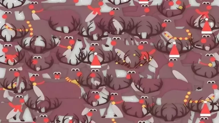 Can You Find A Hidden Bird Among Reindeers In 10 Seconds? Explanation And Solution To The Hidden Bird Optical Illusion