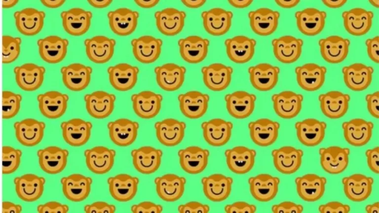 Can You Find The 4 Squirrels Among The Monkeys Within 18 Secs? Only A Few Can Get It! Explanation And Solution To The Squirrels Optical Illusion