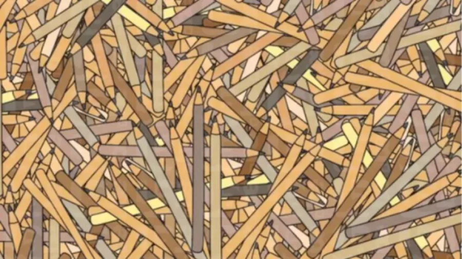 Can You Find The Hidden Chopsticks Among These Pencils Within 20 Seconds? Explanation And Solution To The Hidden Chopsticks Optical Illusion