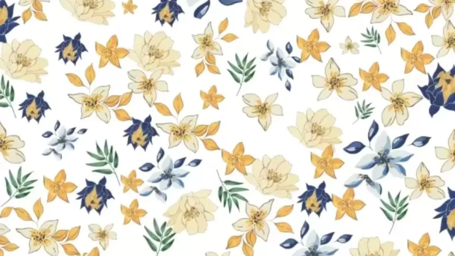 Can You Find The Hidden Easter Egg In This Floral Theme Within 21 Seconds? Explanation And Solution To The Hidden Easter Egg Optical Illusion