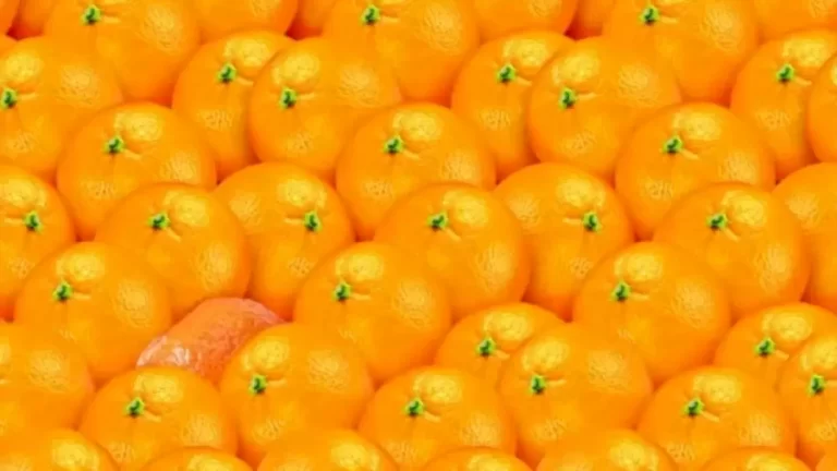 Can You Find The Hidden Tangerine Among These Oranges Within 17 Seconds? Explanation And Solution To The Hidden Tangerine Optical Illusion