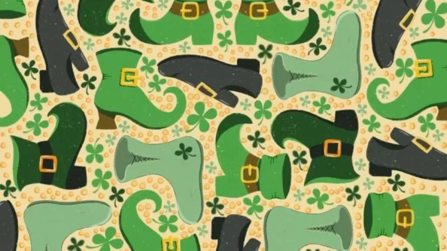 Can You Find The Hidden Three Leaf Clover Among These Shoes Within 18 Seconds? Explanation And Solution To The Hidden Three Leaf Clover Optical Illusion