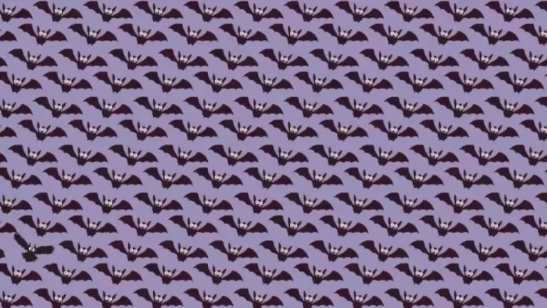 Can You Find The Owl Among The Bats Within 12 Seconds? Explanation And Solution To The Optical Illusion