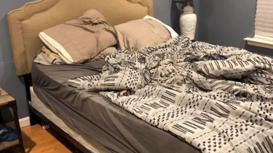 Can You Find Where The Dog Is Hiding On This Bed Within 23 Seconds? Explanation And Solution To The Hidden Dog Optical Illusion