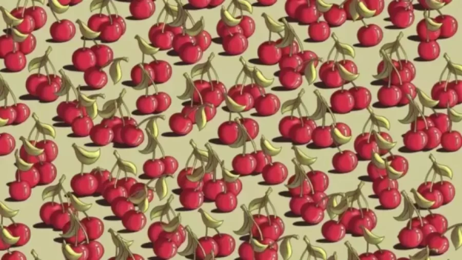Can You Locate The Tomato That Is Hidden Amongst The Cherries In This Optical Illusion?