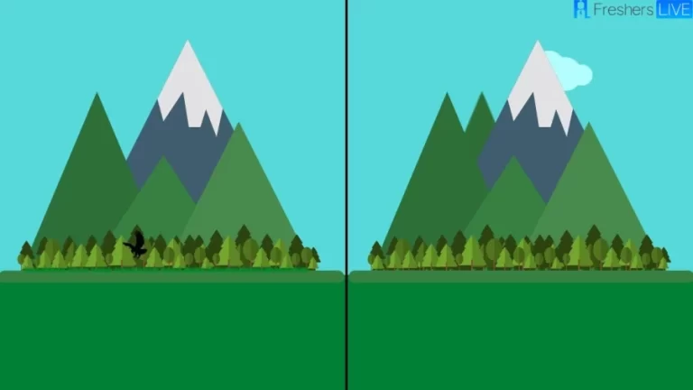 Find The Difference – Can You Find All The Difference In 25 Secs? Brain Teaser