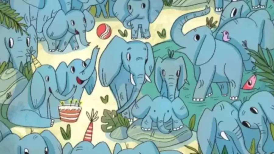 Finding Rhino Optical Illusion: Can You Find the Hidden Rhino Among the Elephants?