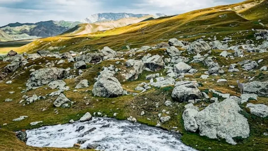 Goat Search Optical Illusion: Can You Locate The Goat In This Image Of Rocks And Mountains Within 14 Seconds?