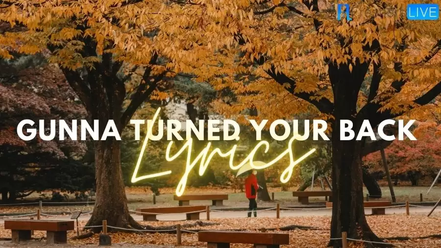 Gunna Turned Your Back Lyrics: The Magical Lines