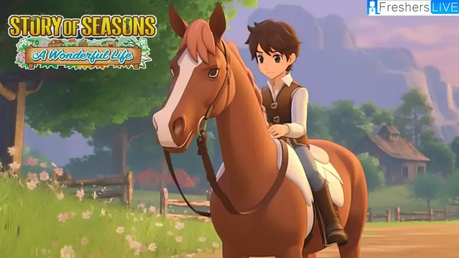 How to Get a Horse in Story of Seasons: A Wonderful Life