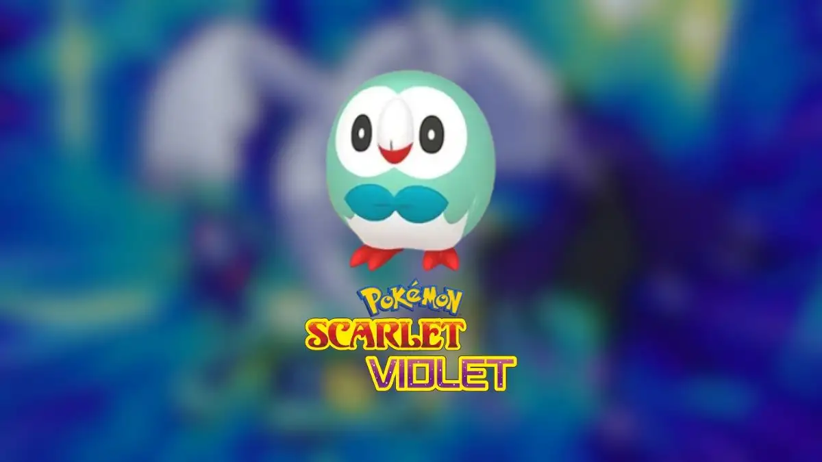 How to get Shiny Rowlet in Indigo Disk Pokemon Scarlet and Violet, Shiny Rowlet in Indigo Disk Pokemon Scarlet and Violet?