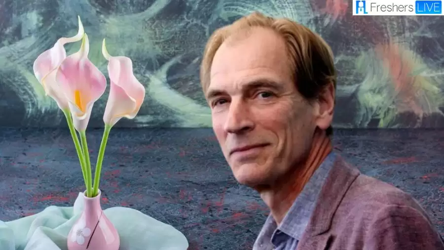 Julian Sands Passed Away: What Happened to Julian Sands? How Did