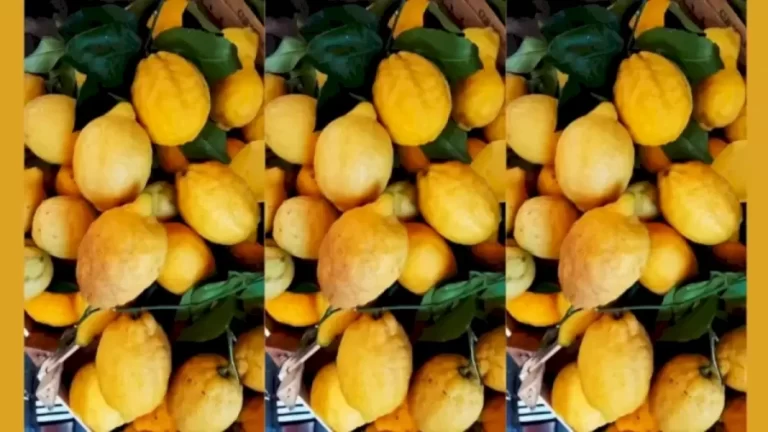 Mango Among Limes! Can You Locate The Mango In This Optical Illusion?