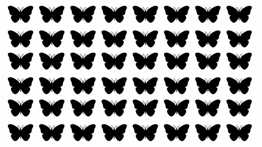 Odd Silhouette Optical Illusion: One Of These Butterfly Silhouettes Is Different From The Others. Can You Detect It Within 21 Seconds?