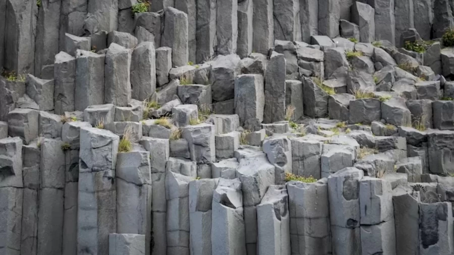 Optical Illusion Brain Test: You Got 11 Seconds! Try To Detect The Lemur In This Ruins