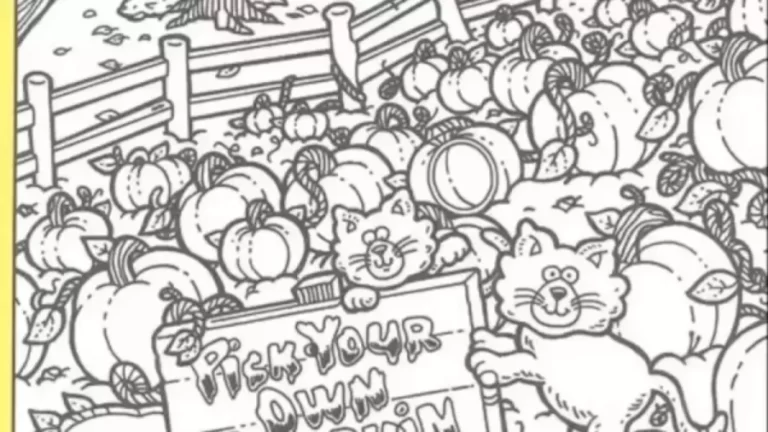 Optical Illusion: Can You Find the Hidden Ring Among the Pumpkin?