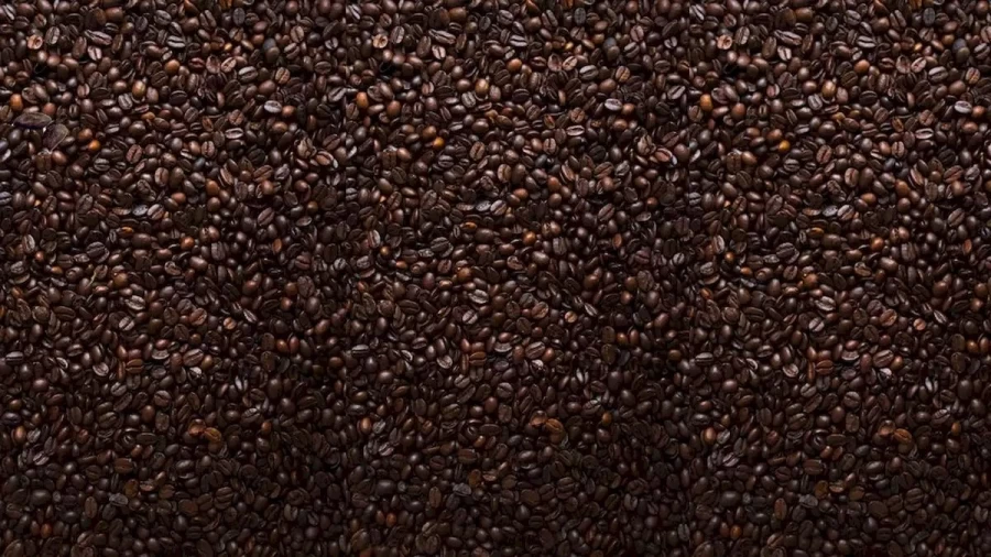 Optical Illusion: Can You Spot Two Cocoa Beans Among These Coffee Beans In This Picture?