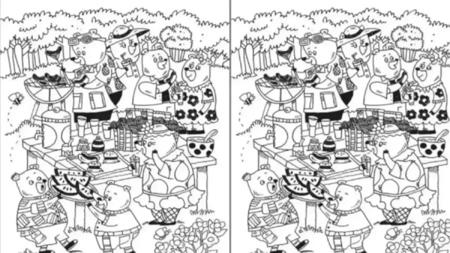 Spot the Difference Eye Test: Only the Sharpest Eyes Can Spot 3 Differences Between the Doctor and Patient Pictures Within 10 Seconds!