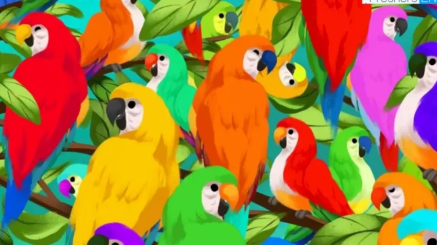 Optical Illusion Challenge: Finding The Chameleon Among These Parrots Is Not Easy. Give It A Try.