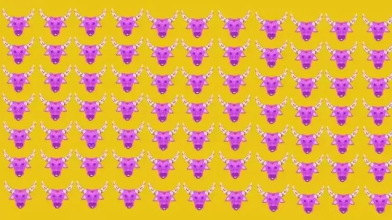 Optical Illusion Challenge : One Of The Design Patterns Of The Cow Face Is Different From The Others. Can You Find It?