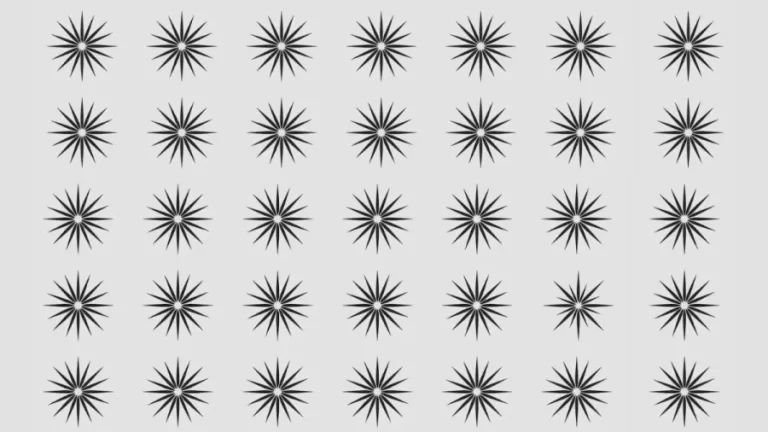 Optical Illusion Challenge: One Of The Stars Is Different From The Others. Can You Spot It Within 16 Seconds?