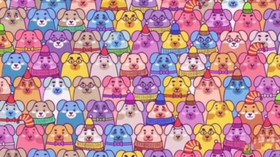 Optical Illusion Eye Test: Among These Dogs, Can You Detect The Pig In Less Than 16 Seconds?