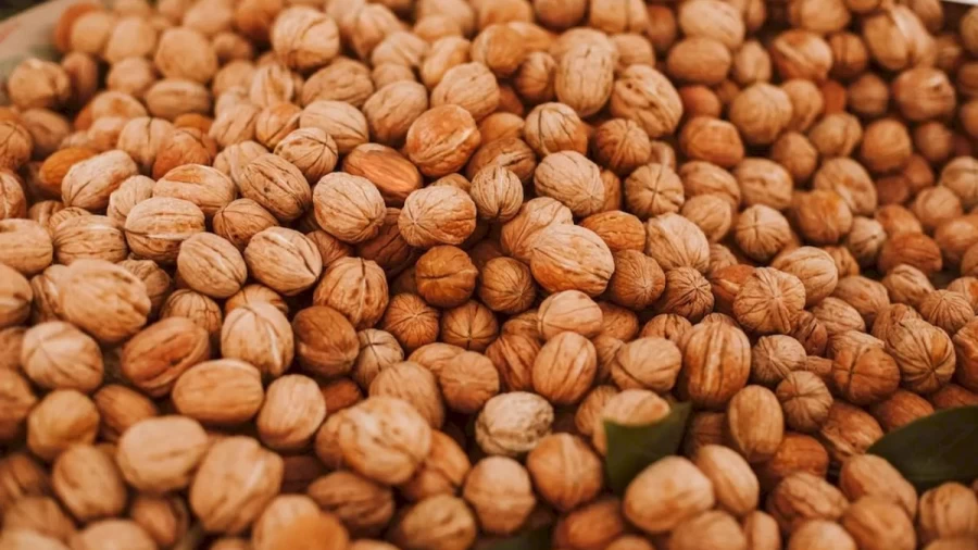 Optical Illusion Eye Test: Among These Walnuts, Can You Spot The Badam In Less Than 16 Seconds?